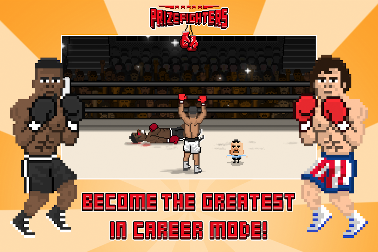 Prize fighter video game